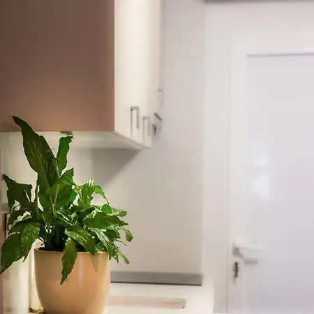 Afrodita アパート *