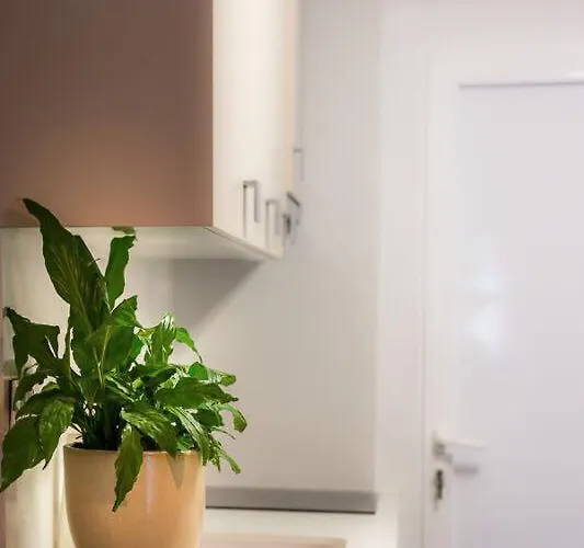 Afrodita Lejlighed *