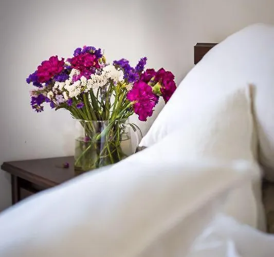 Apartamento Afrodita *