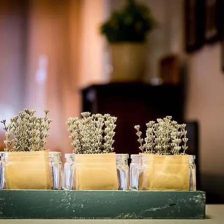 Apartamento Afrodita