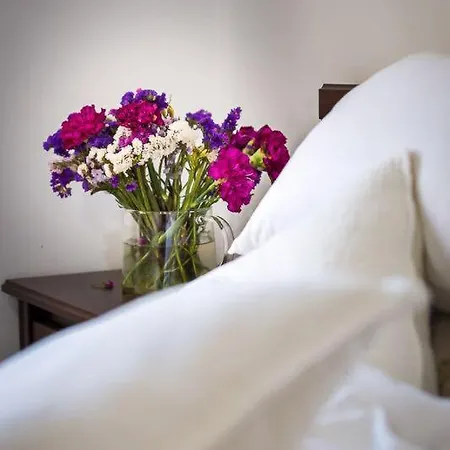 Apartamento Afrodita *